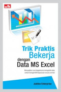 Trik Praktis Berkerja Dengan Data MS Excel